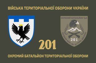 Прапор 201 окремий батальйон територіальної оборони 4.2.5.03.07.v1.03 фото