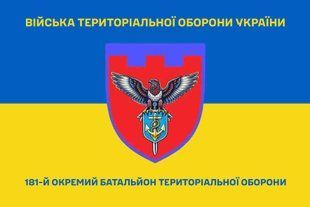 Прапор 181 окремий батальйон територіальної оборони синьо-жовтий 4.2.4.03.02.v2.03 фото