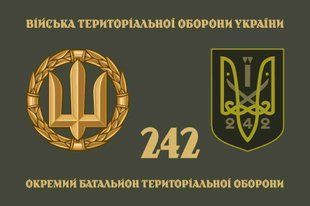 Прапор 242 ОБТрО (окремого батальйону тероборони) ЗСУ 4.2.2.08.06.v4.03 фото